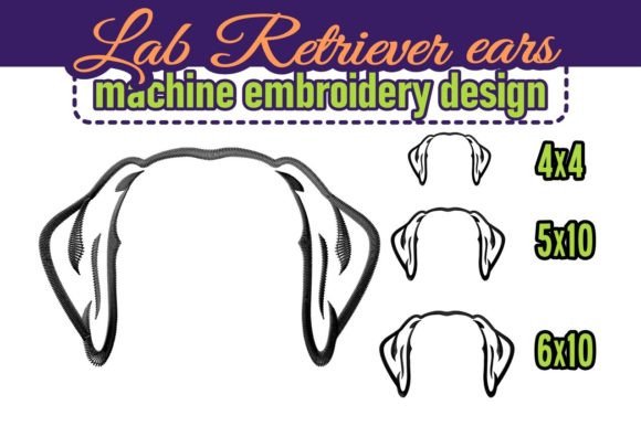 Download Labrador Retriever Dog Ears - Labrador retriever dog Collection